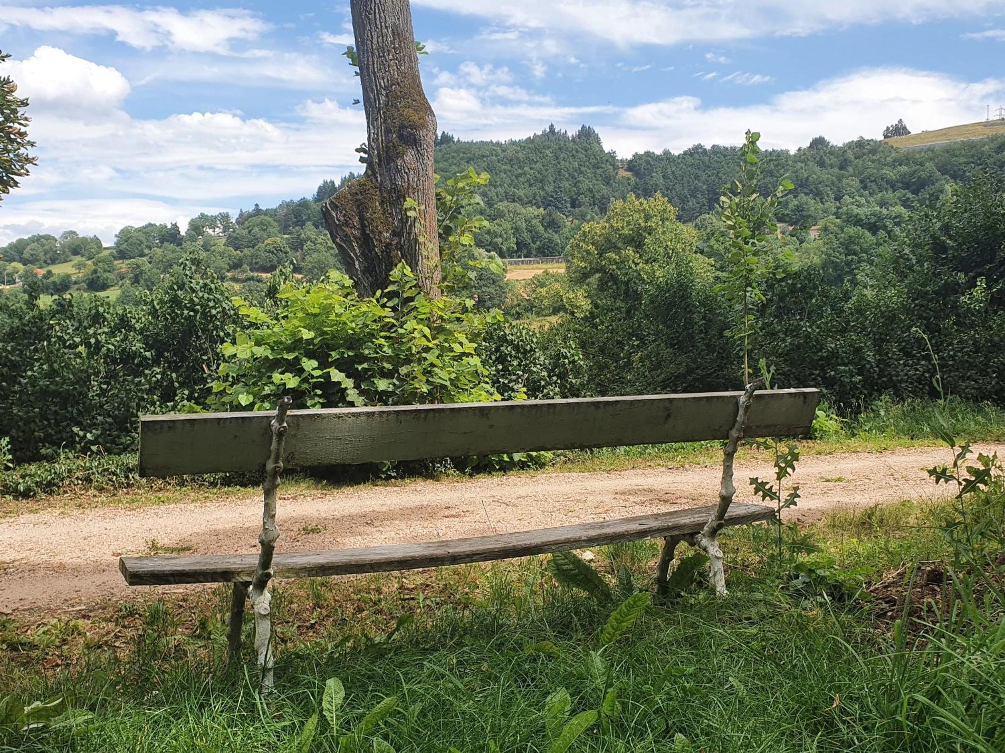 Gîte Le Puy-en-Velay, 3 pièces, 4 personnes - FR-1-582-331 Esterno foto